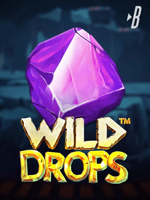 Jogo do foguete bet