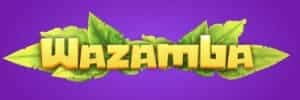 Jogos crazy