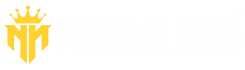 Megadownloader - Wow55
