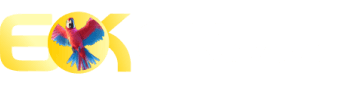 Sportingbet app login - Wow55
