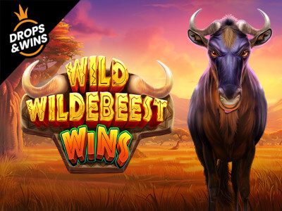 Esportebet online